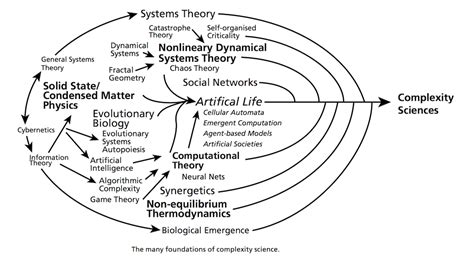 The Complex Systems Approach to Behavioural Science