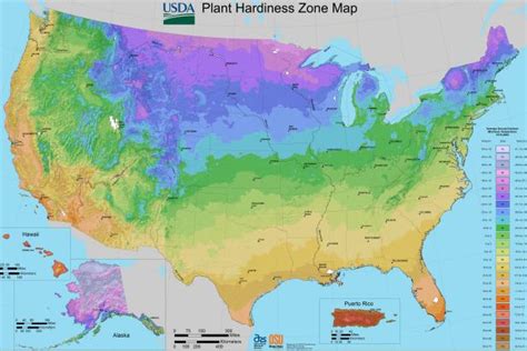 Plant Hardiness Zones | HGTV