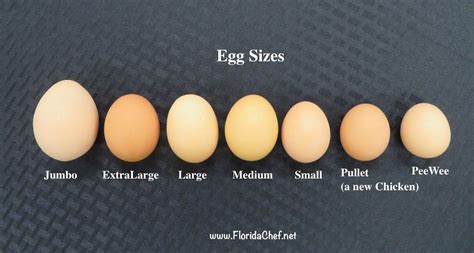 Egg Size Chart for Culinary Professionals