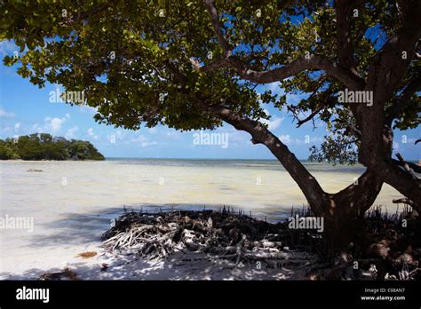 Florida Beach Anne's beach Stock Photo - Alamy