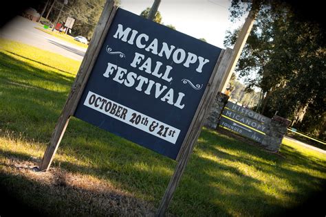 Micanopy Fall Festival | Micanopy Fall Festival floridaadven… | Flickr