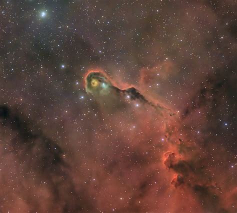 Elephant’s Trunk Nebula – Wolf Creek Observatory