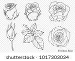Rose Vector Elements 04 Free Stock Photo - Public Domain Pictures