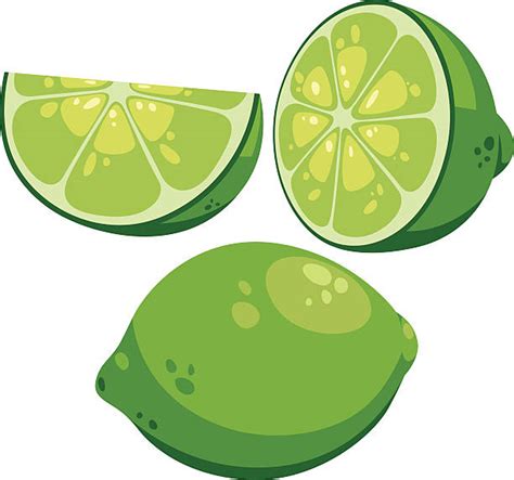 Lime Wedges On White Illustrations, Royalty-Free Vector Graphics & Clip ...