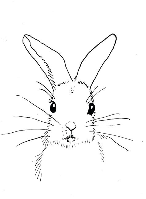 bunny outline Bunny clipart template pencil and in color bunny gif – Clipartix