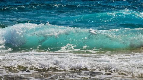 Water Wave · Free Stock Photo