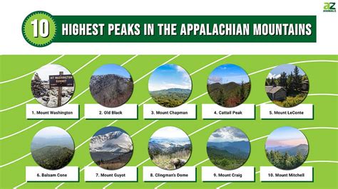 Discover the 10 Highest Peaks in the Appalachian Mountains - A-Z Animals