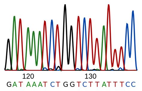 How Does DNA Sequencing Work - Pediaa.Com