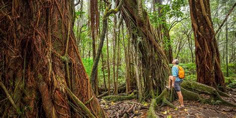 Oahu Hiking Tours | Hawaii Hiking Tours & Activities