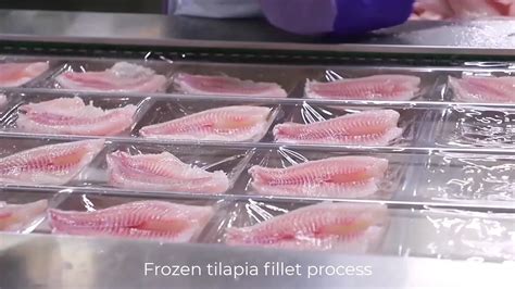 Tilapia Well-trimmed Skin On Tail Wholesale Price 5oz Haccp Frozen Tilapia Fillet Fish - Buy ...