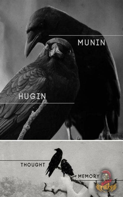 Ravens – Odin’s companions | Norse mythology, Norse myth, Mythology