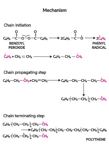 Raumschiff Embryo Tyrann polymerization reaction mechanism wasserdicht Heiligtum Steckrübe