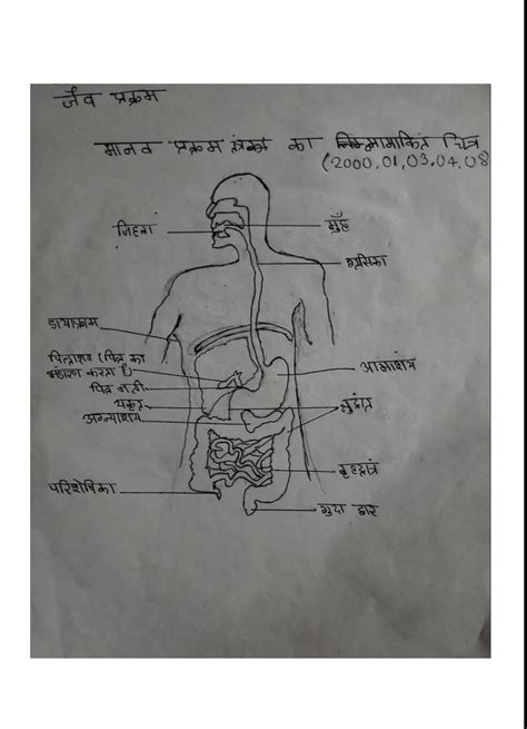 Class 10th science diagrams PDF - HandwrittenNotes.in