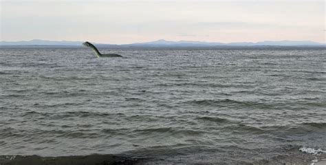 Deleterious effects of road salt on Lake Champlain’s resident cryptid, Champ — AdkAction