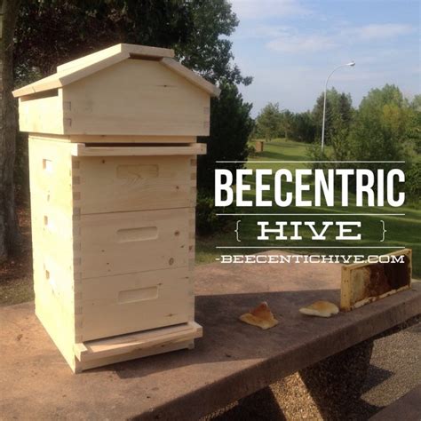 The Beecentric Hive Puts Bees At Its Core - BeecentricHive.com