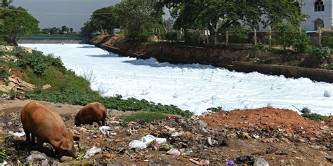 India's Bellandur Lake Is So Polluted It Caught Fire | HuffPost