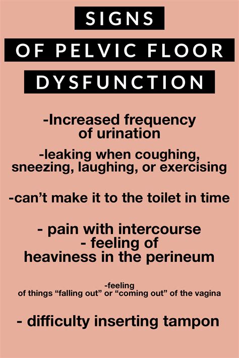 Pelvic Floor Dysfunction | Pelvic floor dysfunction, Pelvic floor, Perineum