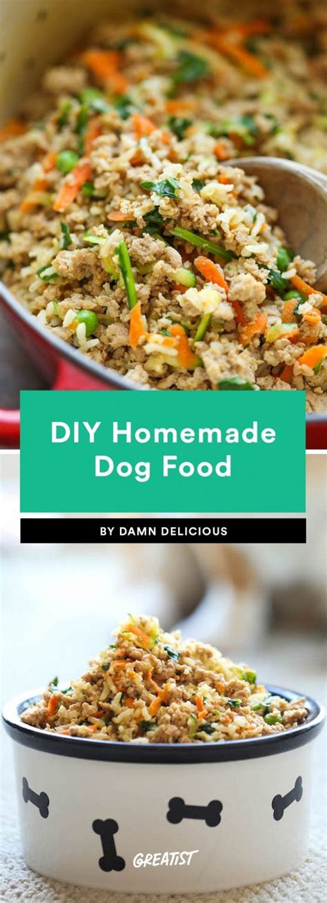 Homemade Dog Food: 6 Recipes Delicious Enough for Humans to Try