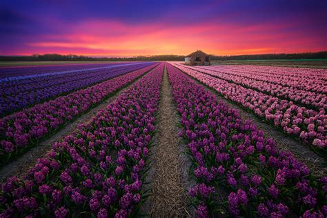 The Beauty of Colorful Landscape Photography | 99inspiration