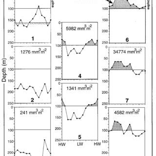 Interface depth along a semidiurnal tide cycle (HW, high water; LW, low... | Download Scientific ...