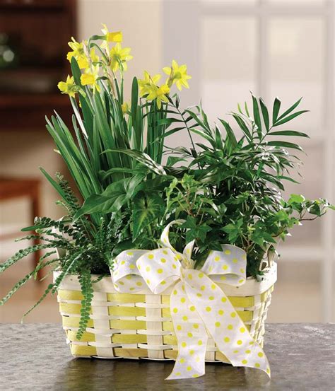 Spring Flower and Plant Basket - flowersusa.net