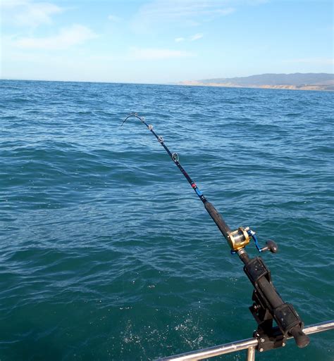 Rockfishing Through The Golden Gate