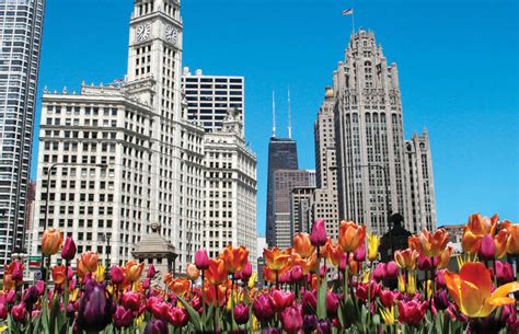 Shopping on The Magnificent Mile | Choose Chicago