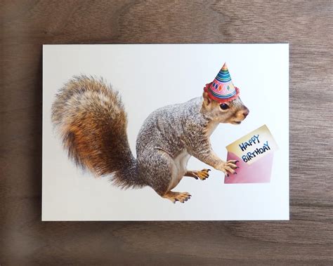 Hallmark Shoebox Funny Birthday Card For Men (Squirrel With Nutcracker) | ubicaciondepersonas ...