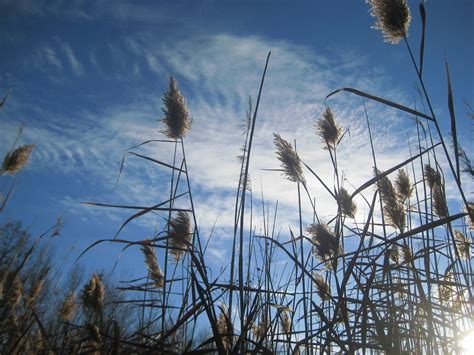 Field | Berlin, Ohio. On the way to Amish country for Thanks… | Flickr