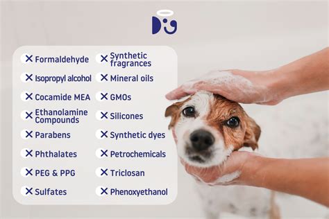 The most toxic ingredients in dog shampoo and how to avoid them – Doglyness