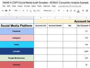 [Free Template] Run a Social Media Audit In Only 20 Minutes - SocialBee