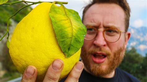 Lemons bigger than my head | Making Limoncello on Amalfi Coast FOOD ...