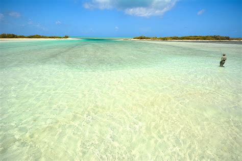 Bahamas; an insight to Crooked Island - Aardvark Mcleod