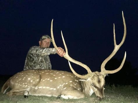 Top #10 Sci Axis buck taken this past weekend!! - Texas Hunting Forum