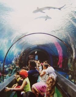 Phuket Aquarium | Attractions and Things to do with Kids in Phuket
