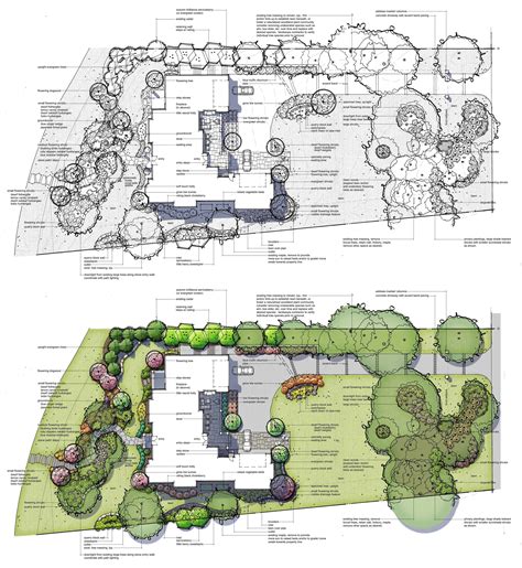 Ornamental shrubs group plan view photoshop - smartsvica