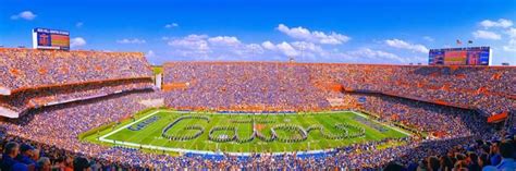 The Stadium | University of florida, Florida gators, Gator nation