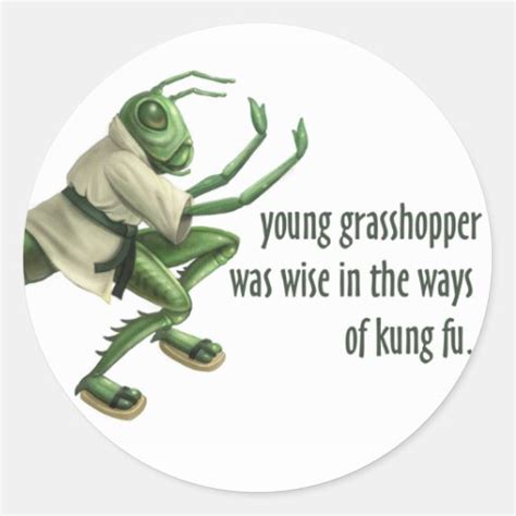 Kung Fu Grasshopper Quotes. QuotesGram