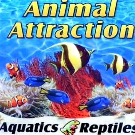 Animal Attraction - Home