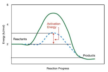 Drawing the Reaction Energy Diagram of a Catalyzed Reaction | Chemistry ...