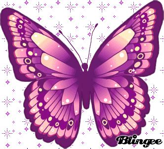 papillon violet