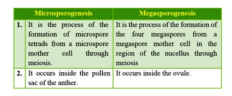 Differentiate between microsporogenesis and megasporogenesis. Which ty