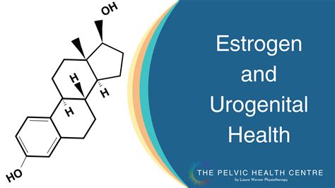 Estrogen and Urogenital Health (Bladder, Pelvic Floor, and Vaginal and ...