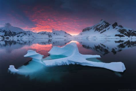 Antarctica Photography Expedition 2021 & 2022 with Daniel...