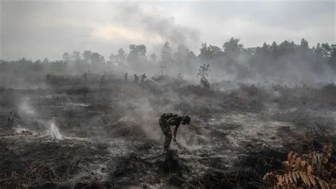 Indonesia: Forest fires cover region in haze