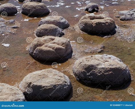 Thrombolites stock image. Image of western, prehistoric - 52488877