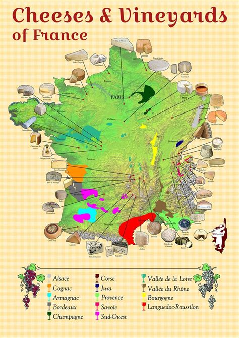 Cheeses and Vineyards of France Map | I Love Maps