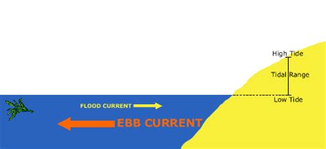 Everything You Need to Know about Tides and Currents | US Harbors