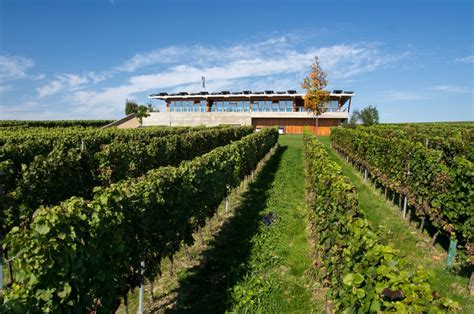 Exploring South Moravia - A Czech Wine and Culture Tour - Just a Pack