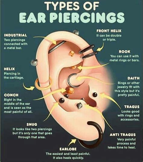 Ear Piercing Chart For Multiple Piercings